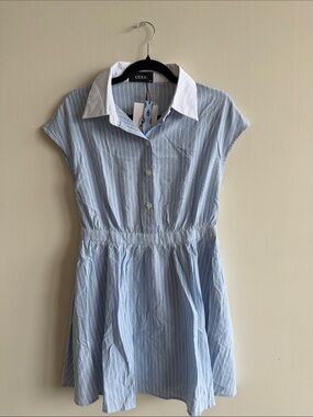 Cider Blue Pinstripe Shirt Dress with White Collar